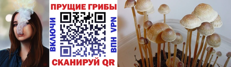 Галлюциногенные грибы MAGIC MUSHROOMS  Слюдянка 